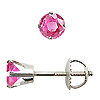 Crown Style Round Pink Sapphire Stud Earrings, 4 Prongs - 14K White Gold