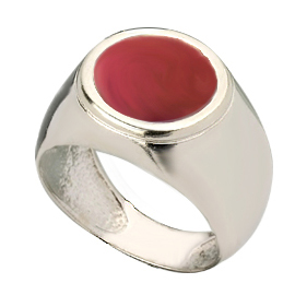 14K White Gold  Kabbalah Ring : Garnet