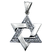 14K White Gold 0.23cttw Diamond Star of David Pendant