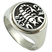 14K White Gold Kabbalah Ring