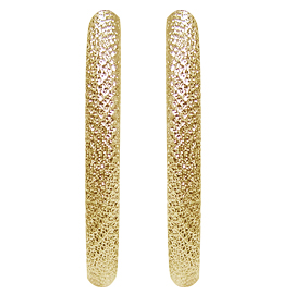 14K Yellow Gold Hoop Earrings
