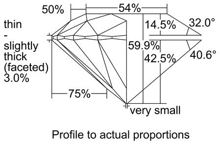 Proportion Diagram