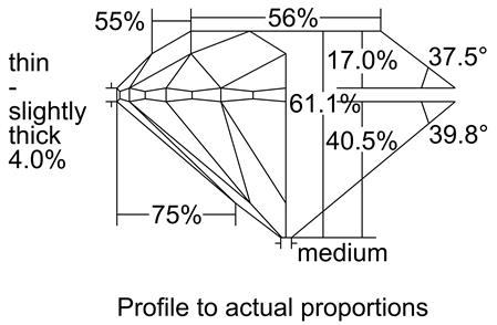 Proportion Diagram