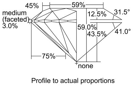 Proportion Diagram