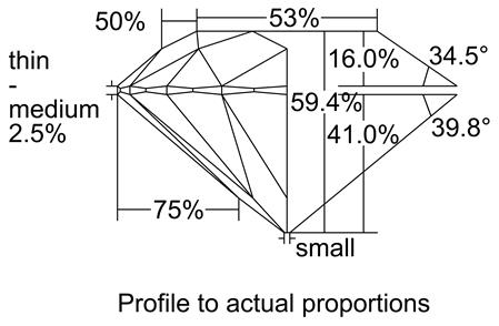 Proportion Diagram