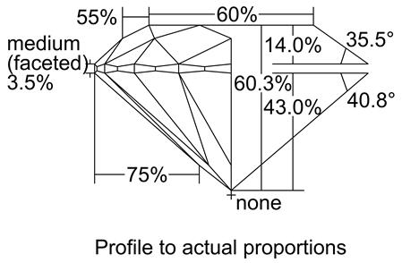 Proportion Diagram