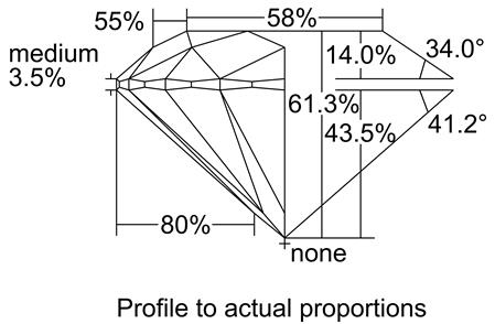 Proportion Diagram