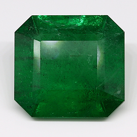 8.92 ct Deep Green Natural Emerald Cut Natural Emerald