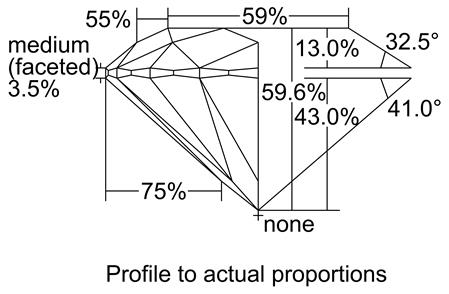 Proportion Diagram