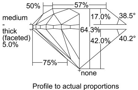 Proportion Diagram