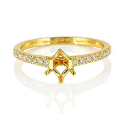 18K Yellow Gold 0.25cttw Diamond Setting