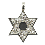 18K White Gold 0.30cttw Diamond Star of David Pendant